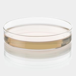 Cetrimide Agar