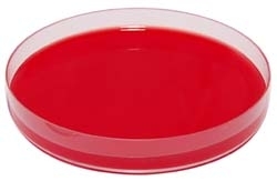 Columbia Agar + 5% Sange de Cal