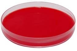 Columbia C.N.A. + 5% Sange de Berbec