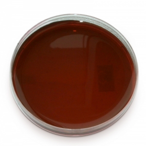E.M.B. Levine Agar
