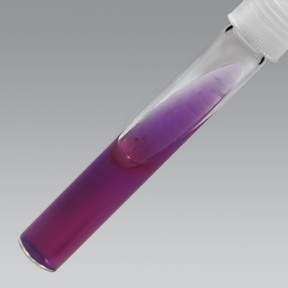 Lysine Iron Agar