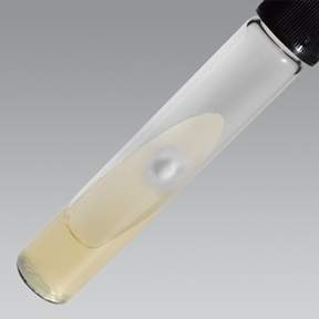 Malt Extract Agar