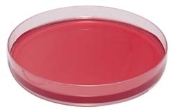X.L.D. Agar (Xylose Lysine Desoxycholate)