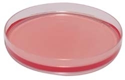 Yersinia C.I.N. Agar