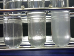 Mc FARLAND 0.5 BARIUM SULPHATE STANDARD